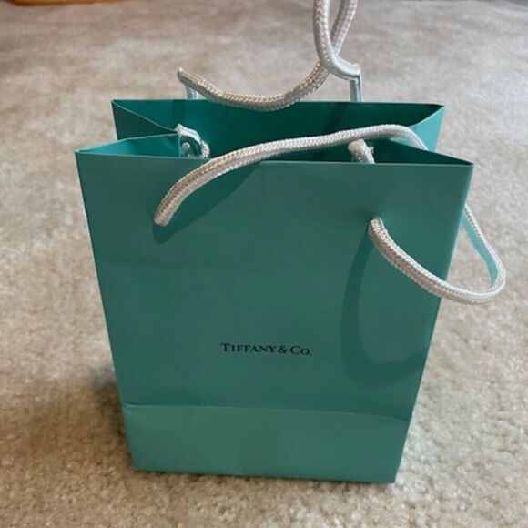 Tiffany & Co. Empty Jewelry Bag - Picture 1 of 4